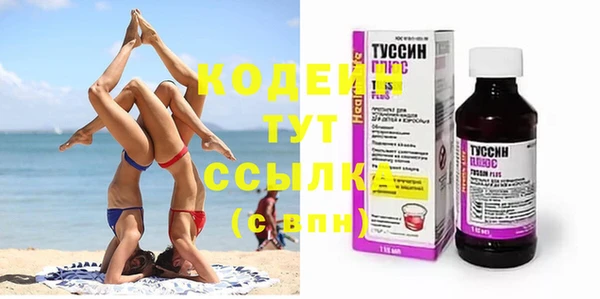 индика Краснотурьинск
