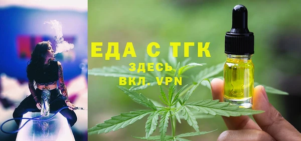 индика Краснотурьинск
