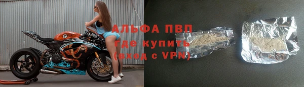 индика Краснотурьинск