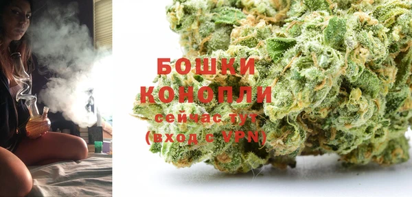 тгк Краснослободск