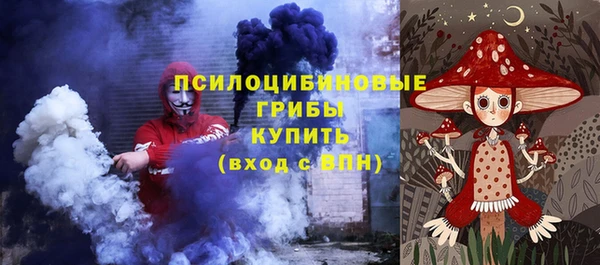 тгк Краснослободск