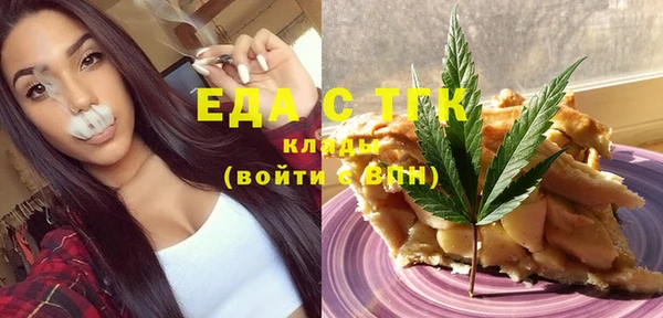 индика Краснотурьинск