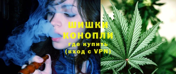 индика Краснотурьинск