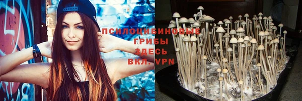 не бодяженный Красноперекопск
