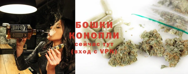 индика Краснотурьинск