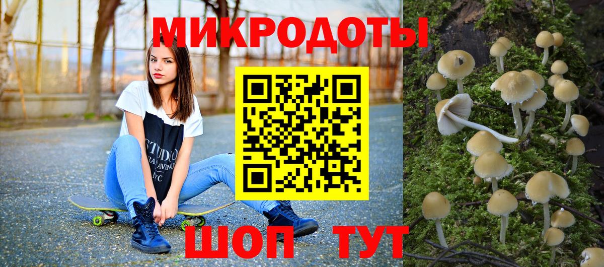 Псилоцибиновые грибы Psilocybine cubensis Строитель